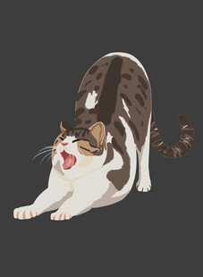 猫咪互动玩耍瞬间