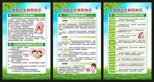 预防出生缺陷日展板