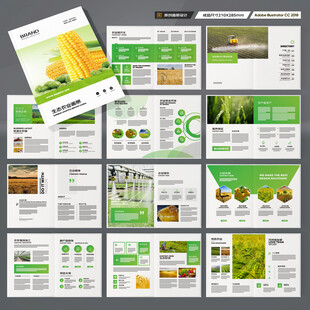 农产品宣传册