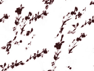 抽象墨点纹理图案