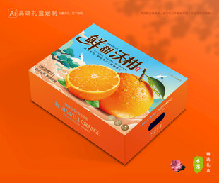 沃柑包装 蜜桔礼盒