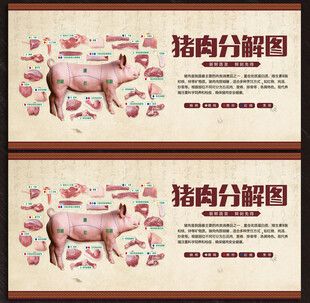 猪肉分解图