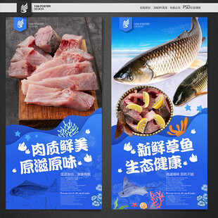 草鱼