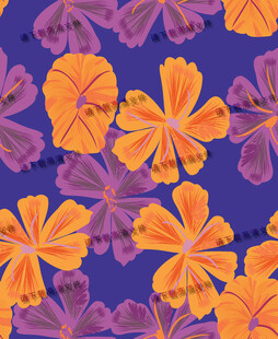 欧美大长裙上的橙色花卉