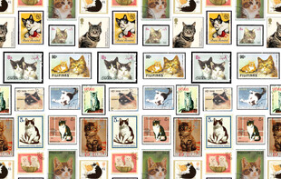 多样动物图片集合