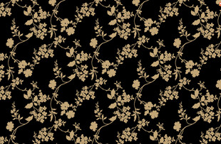 黑色底金色碎花图案