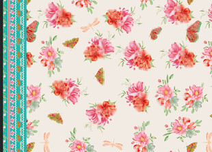 蝴蝶花  定位花