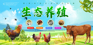 生态养殖展板
