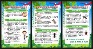 爱国卫生月展板