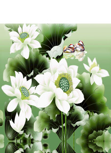 白荷绽放间的灵动景致