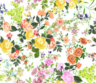 手绘花  玫瑰花