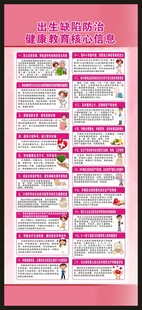 出生缺陷核心信息展架