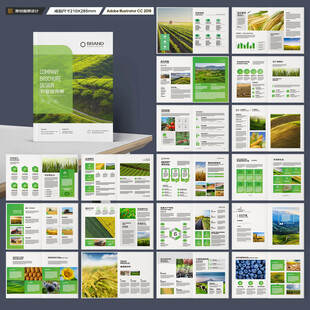 农产品宣传册