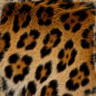豹纹皮毛纹理特写