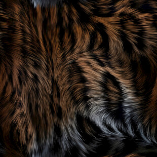 虎纹毛皮纹理特写