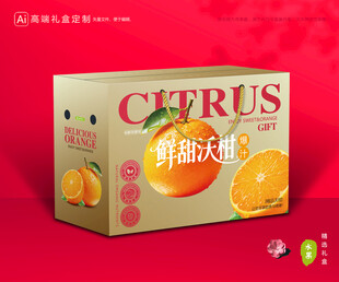 沃柑包装 蜜桔礼盒