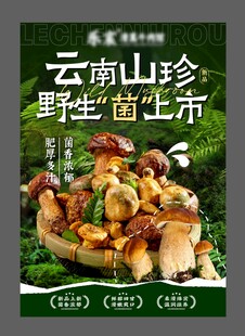 云南山珍野生菌海报