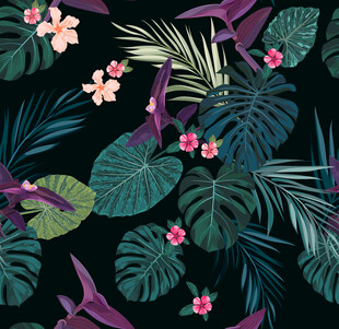 热带植物叶子花