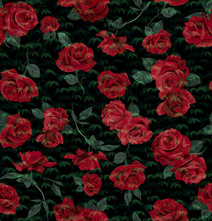 红玫瑰花卉图案背景