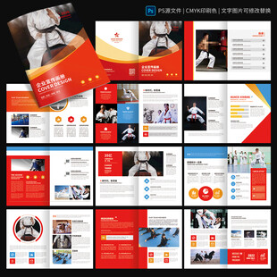 武术宣传册 跆拳道散打画册