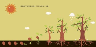 植物生长过程 植物发芽