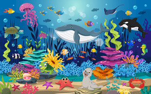 卡通鲸鱼海底珊瑚海洋动物背景墙