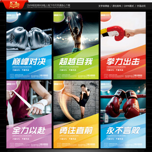 自由搏击海报