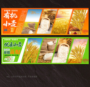 小麦展板