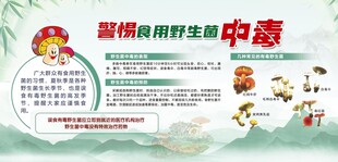 警惕野生菌中毒