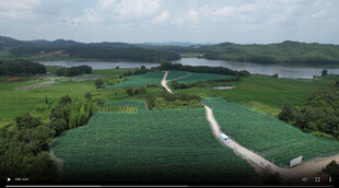 田园风光中的蜿蜒水渠