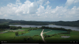 田园河畔风光美景