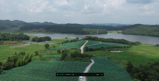 田园风光中的蜿蜒小路