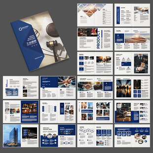 大气律师事务所画册