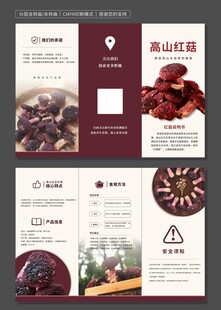 高山红菌宣传折页设计