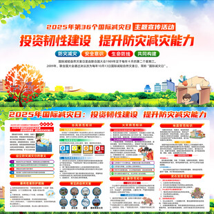 2025年国际减灾日