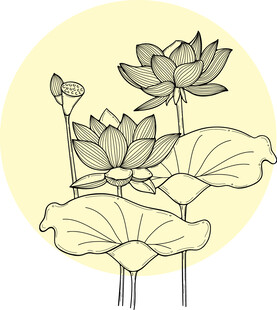 手绘荷花图 矢量图