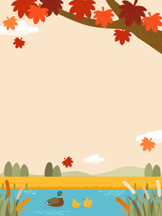 秋天湖边芦苇枫树落叶小鸭子游泳