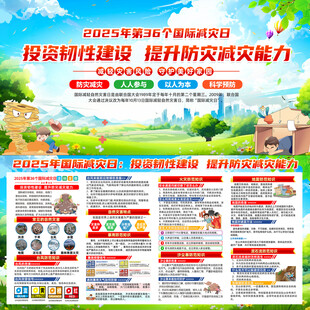 2025年国际减灾日