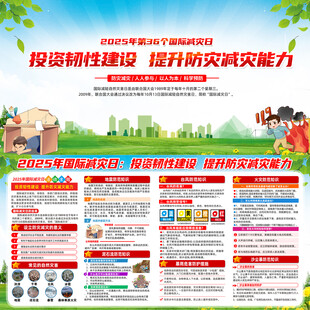 2025年国际减灾日