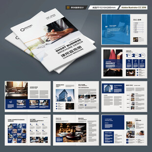 大气律师事务所画册