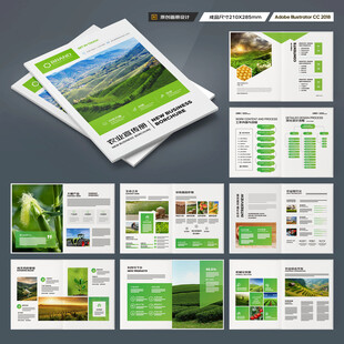 农产品宣传册
