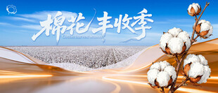 棉花丰收季