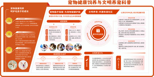 宠物健康饲养与文明养宠科普