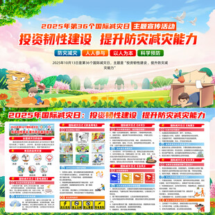 2025年国际减灾日