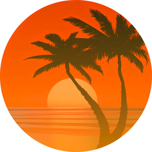 夕阳下的棕榈树海景