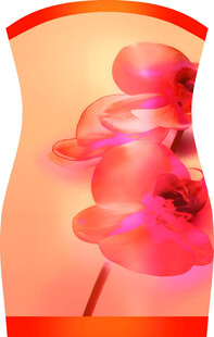 花卉图案时尚女士连衣裙