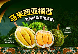 马来西亚榴莲