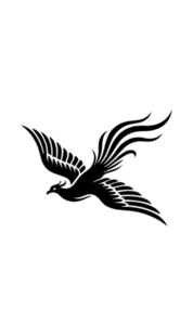 飞翔的凤凰图案