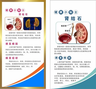 肾结石海报