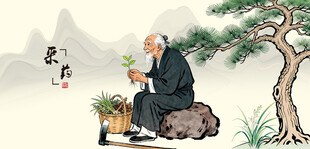 中医文化中医药